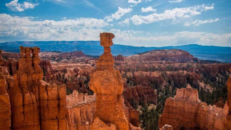 How Can I Enable Notifications For 11Xplay Game Login?